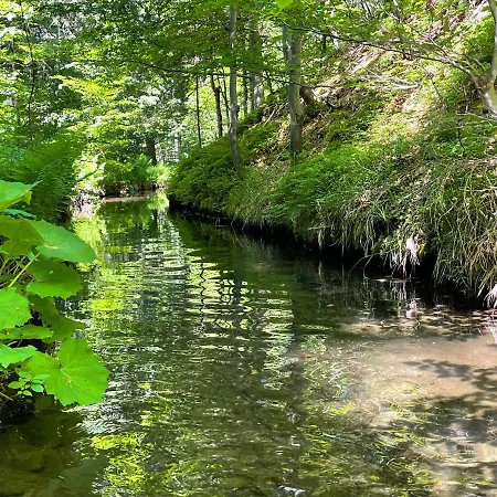 Max アパート Vaclavov u Bruntalu